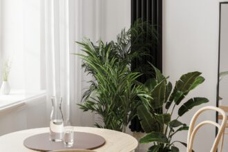 Close up of dining table near window and green plants in pots, home interior, 3d rendering