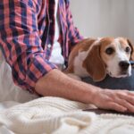 Man and his dog partner up for a productive session. The impact of pets on creativity and problem