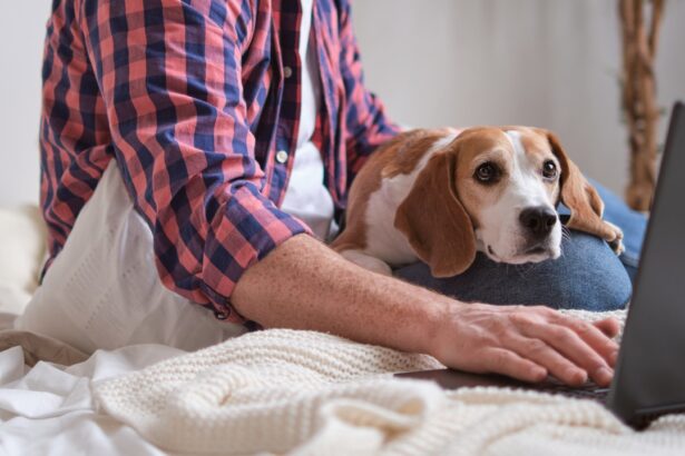 Man and his dog partner up for a productive session. The impact of pets on creativity and problem