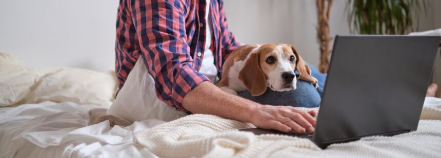 Man and his dog partner up for a productive session. The impact of pets on creativity and problem