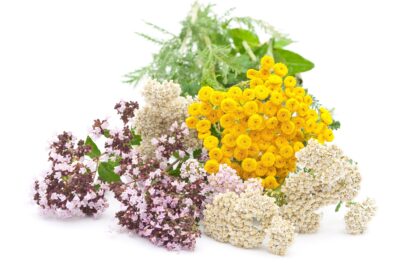 Medicinal herbs